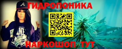 прущие крисы Кимры