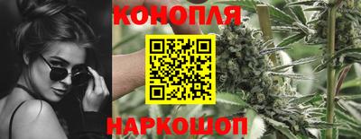 прущие крисы Кимры