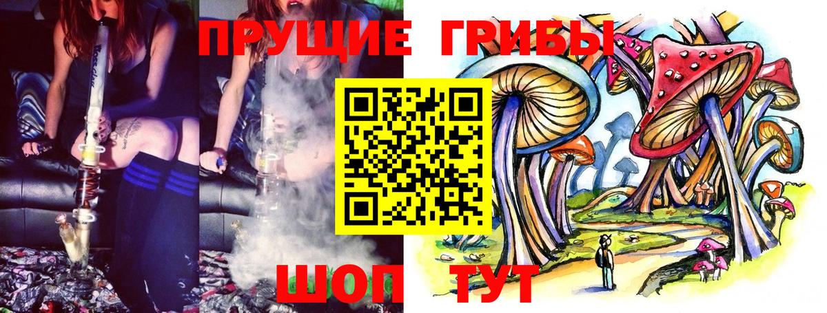 где можно купить   Вход с VPN  Котлас  Псилоцибиновые грибы ЛСД 