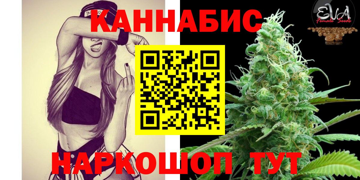 Канабис сатива Котлас